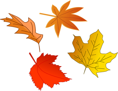Illustration Of Colorful Autumn Leaves.png